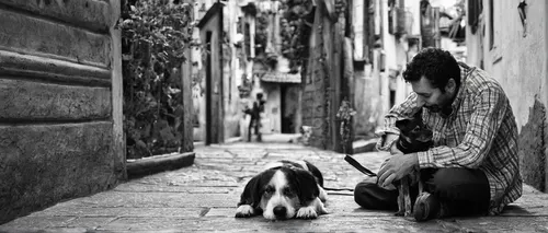 Write a heartwarming story about Tiago and his beloved dog.,street cat,boy and dog,girl with dog,cat greece,human and animal,street photography,stray cat,street dog,strays,dog and cat,companionship,ca