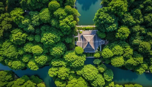house in the forest,aerial landscape,bird's eye view,aerial photography,fairytale castle,dji mavic drone,germany forest,from above,from the air,moated castle,aerial shot,castle sans souci,view from above,bird's-eye view,water castle,tree top,water palace,drone view,lithuania,drone shot,Photography,General,Realistic