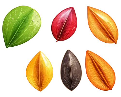 leaf icons,colored spices,fruits icons,tulip background,diwali background,leaf background,set of cosmetics icons,spring leaf background,fruit icons,colorful foil background,colored pins,diwali banner,diwali wallpaper,starfruit,exotic fruits,icon set,colorful peppers,gemstones,star fruit,colored leaves,Illustration,Black and White,Black and White 12