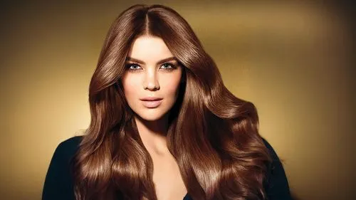 hairstyler,hair coloring,hair iron,smooth hair,hair shear,layered hair,management of hair loss,yellow brown,lace wig,yasemin,british semi-longhair,georgine,brown hair,indian celebrity,golden ritriver and vorderman dark,retouch,brown,british longhair,long hair,caramel color