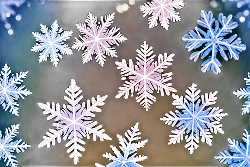 snowflake background,blue snowflake,snowflakes,christmas snowy background,christmas snowflake banner,winter background,snow flake,white snowflake,summer snowflake,snowflake,hoarfrost,fire flakes,ice crystal,ice flowers,flakes,winter window,frosted glass,christmasbackground,winter aster,christmas wallpaper,Illustration,Children,Children 05