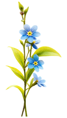 blue flower,blu flower,flowers png,dayflower,blue flowers,flower background,mountain bluets,blue daisies,blue petals,flower wallpaper,starflower,flower illustrative,myosotis,gentians,magic star flower,blume,borage,gentian,flower illustration,alpine flower,Art,Classical Oil Painting,Classical Oil Painting 32