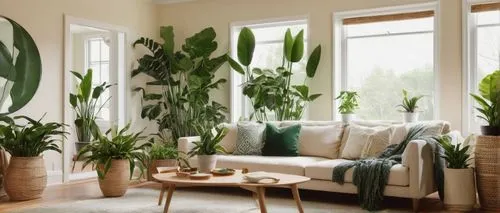 Indoor plants, modern minimalist living room, potted ferns, snake plants, spider plants, peace lilies, hanging baskets, macrame plant holders, wooden floor, cream-colored walls, large windows, natural