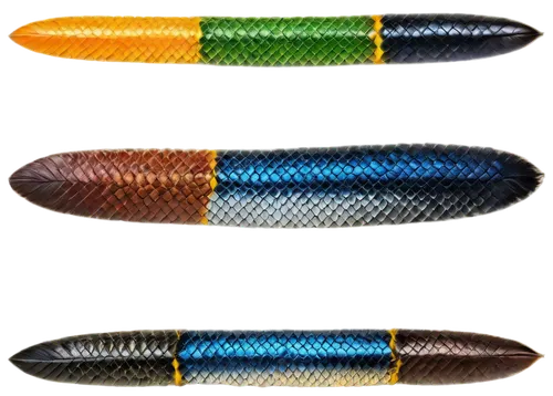 cychropsis,rainbow pencil background,sardinella,tricolores,ellipsoids,tricolor arrows,snakeheads,pseudagrion,photomultipliers,arowanas,chrysolepis,dorados,tricolors,ovipositor,unicolor,splendor skink,barracudas,color feathers,ferromagnets,platyhelminthes,Illustration,American Style,American Style 15