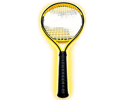 racquet sport,tennis racket accessory,tennis racket,tennis equipment,racquet,table tennis racket,racket,racquetball,rackets,paddle tennis,badminton,lemon beebrush,real tennis,venus comb,sport weapon,racketlon,sports equipment,pickleball,padel,tennis,Art,Classical Oil Painting,Classical Oil Painting 26