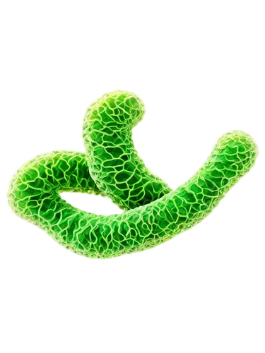 rod of asclepius,green snake,chloropaschia,pylori,green mamba,cyanobacteria,elegans,koru,patrol,microalgae,green tree snake,green python,spiralis,pseudomembranous,eukaryote,chloroplast,euglena,betaproteobacteria,ecolabel,spiral background,Photography,Fashion Photography,Fashion Photography 21