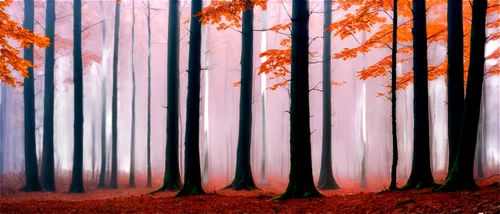 autumn forest,cartoon forest,forest background,autumn background,forest landscape,mixed forest,deciduous forest,beech trees,autumn trees,row of trees,fir forest,germany forest,forest,pine forest,birch forest,coniferous forest,forest of dreams,tree grove,forests,the forest,Art,Classical Oil Painting,Classical Oil Painting 08