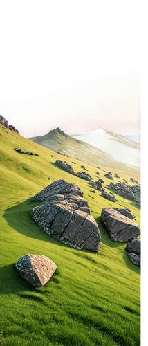 virtual landscape,golf course background,landscape background,golf landscape,3d background,background with stones,stone circles,grasslands,futuristic landscape,renders,3d rendering,terraforming,grassland,3d render,3d rendered,render,green landscape,moss landscape,terraformed,stone circle,Illustration,Black and White,Black and White 28