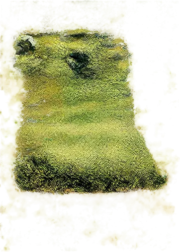 moss landscape,block of grass,azolla,felted and stitched,topographer,poa,grassman,tumulus,forest moss,golf course background,felted,green lawn,animal grave,golf course grass,suitcase in field,chair in field,grono,burial mound,green landscape,stone background,Illustration,American Style,American Style 09