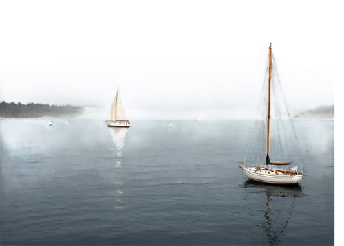 White sailboat, calm sea, shiny hull, soft ripples, morning sunlight, gentle waves, wooden deck, rope details, liferaft, anchor, seagulls flying overhead, misty atmosphere, panoramic view, soft focus,