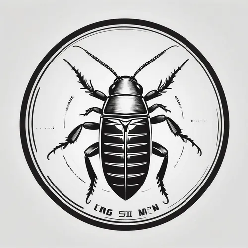 scarab,scarabs,ground beetle,earwigs,beetle,earwig,black beetle,forest beetle,the beetle,the stag beetle,locust,stag beetle,gammarus,arthropod,beetles,automotive decal,fire beetle,insects,insecticide,bug open,Unique,Design,Logo Design