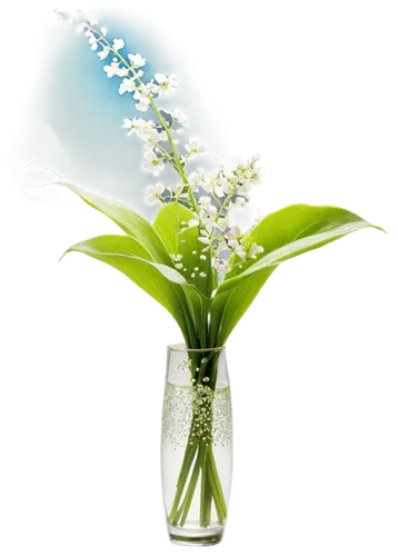 flowers png,lily of the valley,flower vase,lily of the field,lilly of the valley,doves lily of the valley,lily of the desert,flower arrangement lying,artificial flower,bag of gypsophila,glass vase,easter lilies,white grape hyacinths,flower vases,homeopathically,white jasmine,flower arrangement,lilies of the valley,white floral background,artificial flowers,Illustration,Japanese style,Japanese Style 09