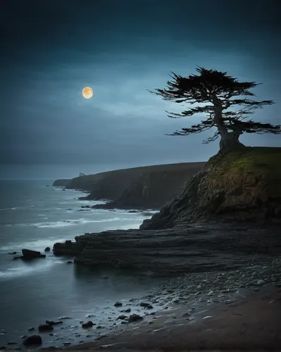 lone tree,half moon bay,moonlit night,isolated tree,moonlit,pebble beach,moonrise,landscape photography,full moon,mendocino,spyglass,moonscape,cypress,pigeon point,moon photography,blue hour,coastal landscape,long exposure,blue moon,cliff coast,Illustration,Abstract Fantasy,Abstract Fantasy 19