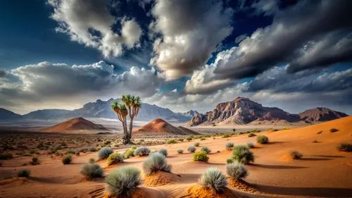 desert desert landscape,desert landscape,capture desert,arid landscape,the desert,desert