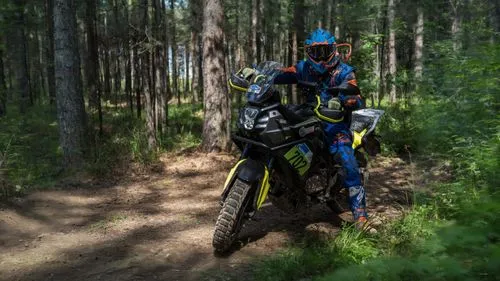 trailbreaker,enduro,motocross schopfheim,husqvarna,gncc,supermini,in the forest,motocross riding,singletrack,adventure sports,adventurist,dirt bike,motos,trail searcher munich,forestry,trails,trailblazing,trail,lillestrom,forest work