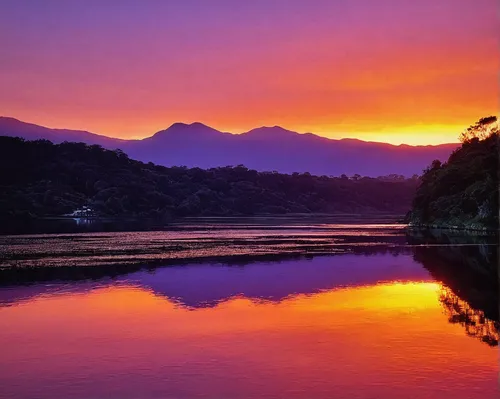 japan landscape,shizuoka prefecture,japan's three great night views,beautiful japan,shimane peninsula,aso kumamoto sunrise,yakushima,lake tanuki,the chubu sangaku national park,japanese mountains,taiwan,guilin,daecheong lake,fuji mountain,fuji,indonesia,mt fuji,mount fuji,yamada's rice fields,volcanic lake,Illustration,Realistic Fantasy,Realistic Fantasy 33