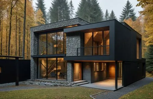 modern house,forest house,house in the forest,cubic house,timber house,modern architecture,inverted cottage,prefab,frame house,wooden house,huset,bohlin,kundig,cube house,lohaus,prefabricated,arkitekter,shawnigan,architektur,scandinavian style,Photography,General,Realistic