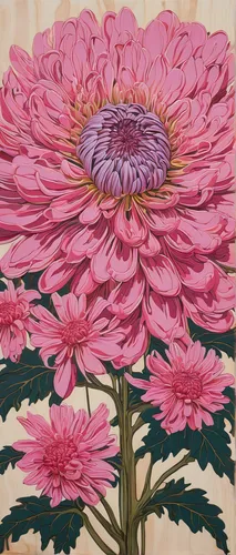 pink chrysanthemum,pink chrysanthemums,chrysanthemum,chrysanthemum flowers,chrysanthemum exhibition,chrysanthemums,chrysanthemum grandiflorum,korean chrysanthemum,chrysanths,celestial chrysanthemum,flower painting,garden chrysanthemum,violet chrysanthemum,chrysanthemums bouquet,garland chrysanthemum,chrysanthemum background,purple chrysanthemum,red chrysanthemum,chrysanthemum coronarium,siberian chrysanthemum,Illustration,Japanese style,Japanese Style 16