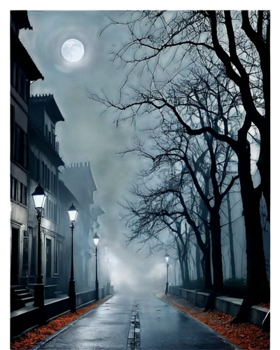 halloween poster,night scene,moonlit night,street lamps,halloween scene,nocturnes,halloween background,outdoor street light,street lamp,street lights,photomanipulation,halloween and horror,night image,streetlight,streetlamp,lunwetter,moonlit,photoshop manipulation,halloween ghosts,night photography,Photography,Fashion Photography,Fashion Photography 15