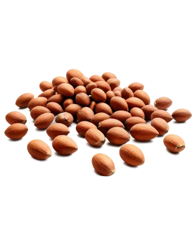 unshelled almonds,kidney beans,almond nuts,indian almond,almonds,pine nuts,salted almonds,roasted almonds,pine nut,almond,almond meal,chocolate-coated peanut,cocoa beans,apricot kernel,argan,azuki bean,common bean,kidney bean,caramelized peanuts,cowpea,Art,Artistic Painting,Artistic Painting 24