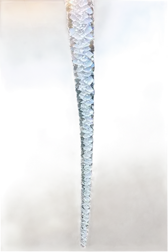 ice crystals,icicle,feather bristle grass,hoarfrost,crystallizes,ice crystal,crystallize,silversword,crystalline,icicles,ground frost,stalactite,frost,frost bubble,cattail,frostiness,swan feather,ice flowers,ice rain,ice,Conceptual Art,Daily,Daily 15