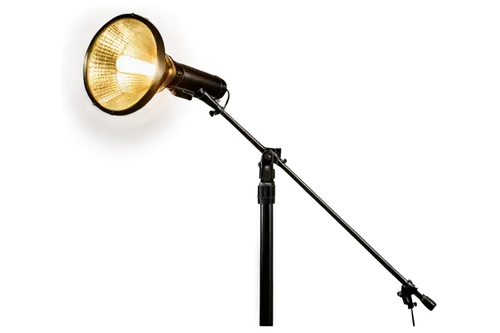 handheld electric megaphone,lighting accessory,light stand,electric megaphone,searchlamp,video camera light,floor lamp,spot lamp,microphone stand,halogen spotlights,gas lamp,portable light,condenser microphone,master lamp,flood light bulbs,desk lamp,track lighting,tee light,cuckoo light elke,microphone,Illustration,Vector,Vector 15