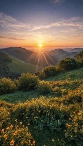 carpathians,mountain sunrise,landscapes beautiful,transcarpathia,meadow landscape,windows wallpaper,Photography,General,Realistic