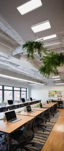 daylighting,norfolk island pine,intensely green hornbeam wallpaper,forest workplace,conference room,creative office,lendingtree,gensler,meeting room,boxwoods,greentech,modern office,ideacentre,steelcase,bureaux,ecotech,herbarium,furnished office,offices,hanging plants,Illustration,Black and White,Black and White 02