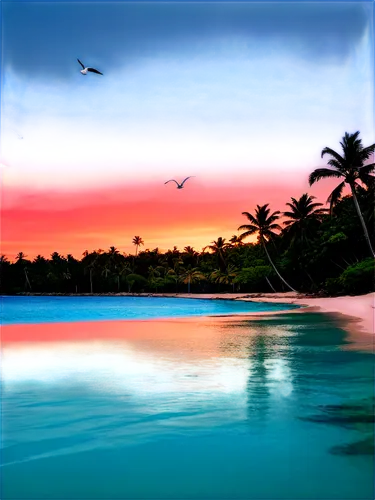 tropical beach,tropical sea,tropical island,dream beach,caribbean beach,dusk background,caribbean sea,windows wallpaper,cook islands,ocean background,beach landscape,paradises,caribbean,background colorful,ocean paradise,landscape background,cuba background,beach scenery,beautiful beach,beautiful beaches,Conceptual Art,Daily,Daily 12