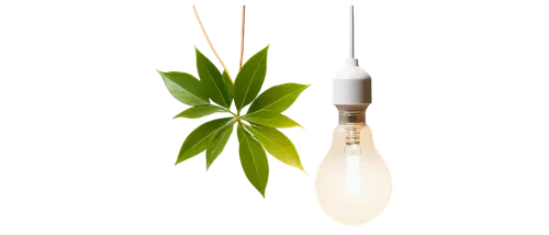 compact fluorescent lamp,cyperus,energy-saving bulbs,injectivity,bulb,electric bulb,incandescent lamp,led lamp,isolated product image,ampoule,halogen bulb,syringe,energy-saving lamp,injectables,injectable,injective,microinjection,insulin syringe,denervation,citronella,Art,Artistic Painting,Artistic Painting 28