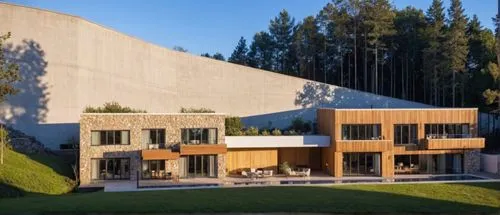 modern two family house, natural surroundings (a hill with trees). two pools divided by a wall. outdoor terraces, war lights, golden hour

,cube house,eisenman,timber house,forest house,cubic house,bo