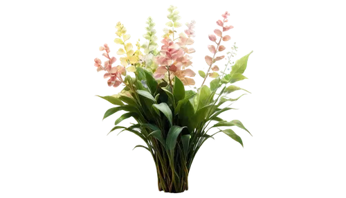 gladiolas,pink hyacinth,gladioli,torch lily,torch lilies,gladiolus,flowers png,astilbe,hyacinthus,schopf-torch lily,tuberose,lily of the valley,muguet,lily of the field,alpinia,hyacinths,elven flower,graph hyacinth,pineapple lily,snapdragon,Photography,Artistic Photography,Artistic Photography 02