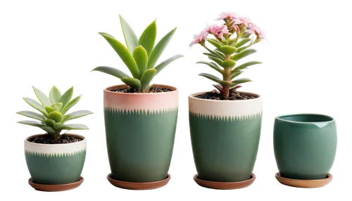 plants in pots,potted plants,plant pots,vases,flower vases,potted flowers,flowerpots,plantes,flower pots,small plants,houseplants,plantlets,house plants,hostplants,plant pot,container plant,little plants,garden pot,planters,mixed cup plant,Illustration,Children,Children 04