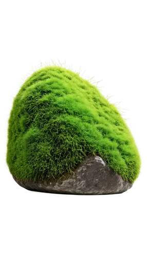 Cartoonish moss, bright green, fluffy texture, rounded shapes, scattered on rocks, whimsical atmosphere, soft focus, warm color tone, shallow depth of field, vibrant highlights, playful composition, 3