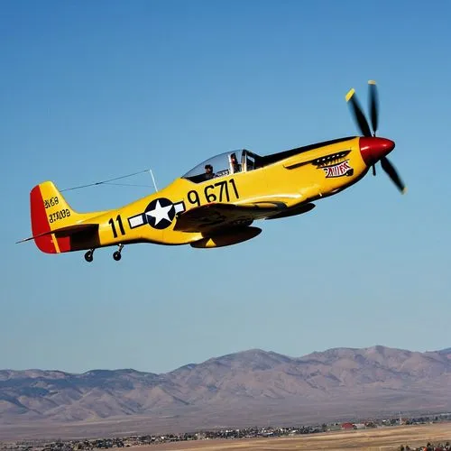 north american t-6 texan,north american p-51 mustang,reno airshow,grumman american aa-1,north american t-28 trojan,grumman f6f hellcat,radio-controlled aircraft,grumman f8f bearcat,aerobatics,aerobatic,republic p-47 thunderbolt,sport aircraft,model aircraft,t28 trojan,hudson wasp,monoplane,lockheed t-33,beechcraft c-12 huron,fire-fighting aircraft,corsair,Photography,General,Realistic