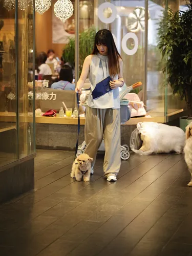 shopper,dog cafe,pet shop,shopping mall,woman shopping,cat's cafe,service dogs,shopping icon,shopping street,alipay,shopping venture,shopwindow,girl with dog,pet adoption,shopping bags,japanese spitz,