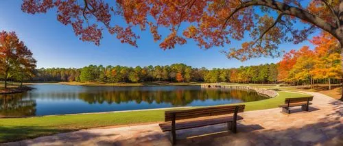 autumn park,autumn in the park,fall landscape,autumn scenery,autumn landscape,autumn background,colors of autumn,autumn idyll,park lake,autumn day,beautiful lake,autumn colors,background view nature,beautiful landscape,forest lake,fall foliage,fountain pond,autumn forest,nature landscape,landscape nature,Conceptual Art,Daily,Daily 07