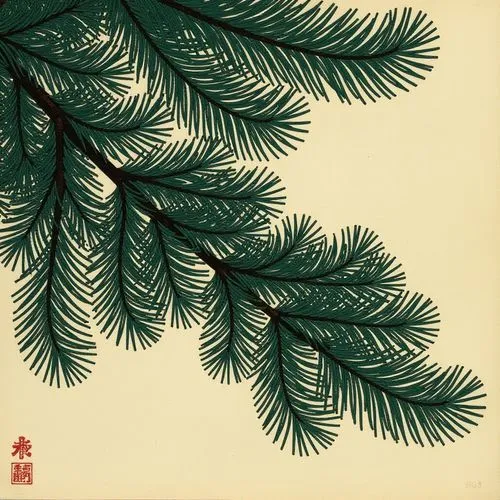 hinoki,pine branches,fir-tree branches,fir branches,fir branch,pine tree