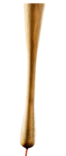 osseointegration,tibia,torch tip,leg bone,incandescent lamp,torch,olympic torch,golden candlestick,flaming torch,kerosene lamp,footlight,goblet,femoral,baculum,popliteal,belan,floor lamp,piala,femur,a flashlight,Illustration,Realistic Fantasy,Realistic Fantasy 42