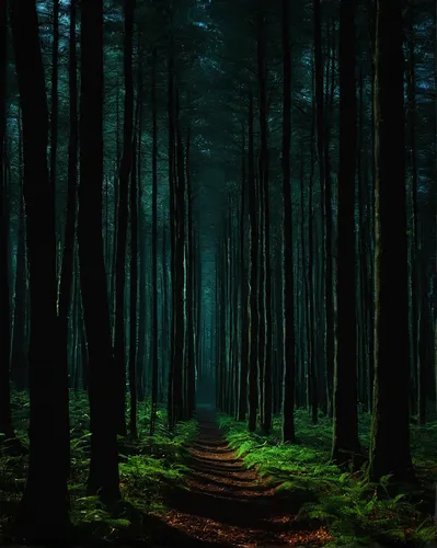 forest path,forest dark,germany forest,forest of dreams,haunted forest,forest road,the forest,coniferous forest,fir forest,forest walk,forest,green forest,the mystical path,forest background,enchanted forest,black forest,forest landscape,holy forest,tree lined path,deciduous forest,Art,Classical Oil Painting,Classical Oil Painting 38