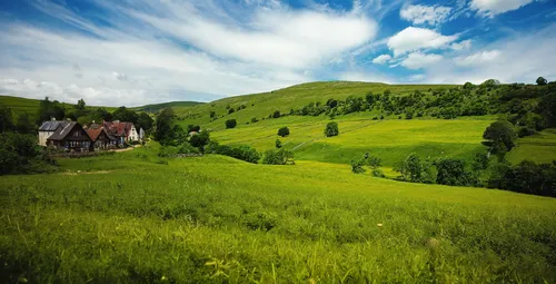 carpathians,meadow landscape,home landscape,green landscape,bucovina,rolling hills,bucovina romania,transilvania,landscape background,alpine pastures,styria,rural landscape,ore mountains,transylvania,countryside,romania,hillside,alsace,beautiful landscape,appenzell