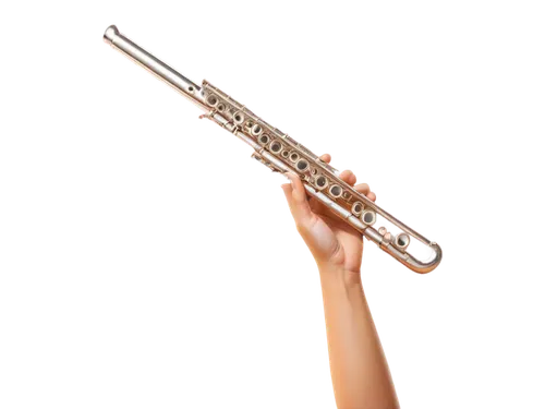 sistrum,flutist,transverse flute,flute,flautist,bowed instrument,wind instrument,flutists,pan flutes,dilator,block flute,the flute,baton,flautists,instrument,flutes,trochanter,fluting,glissandi,lightsaber,Photography,Documentary Photography,Documentary Photography 16