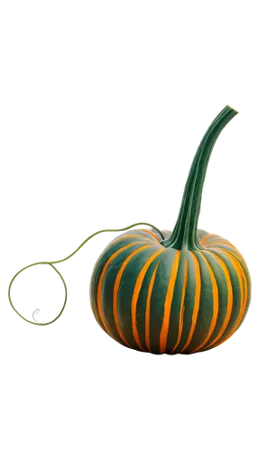 pointed gourd,decorative squashes,cucurbita,cucurbit,figleaf gourd,calabaza,scarlet gourd,gourd,snake gourd,cucuzza squash,gourds,bitter gourd,striped pumpkins,gem squash,decorative pumpkins,ornamental gourds,winter squash,halloween pumpkin gifts,horn cucumber,hokkaido pumpkin,Illustration,Abstract Fantasy,Abstract Fantasy 19