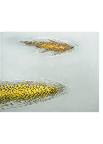 Freshwater salmon, swimming, golden scales, shiny fins, aquatic plants, water ripples, morning sunlight, soft focus, 3/4 composition, warm color tone, cinematic lighting, shallow depth of field, trans