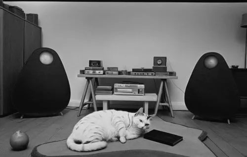 a white cat sleeping on the floor of a living room,stereophile,grammofon,suara,maxell,binaural,deupree,Photography,Black and white photography,Black and White Photography 11