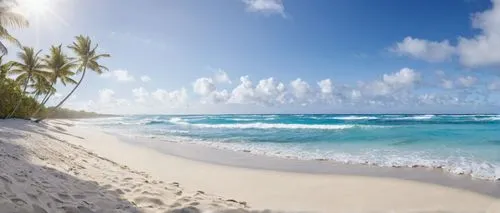 white sandy beach,caribbean beach,caribbean sea,dream beach,beautiful beach,turquoise water,Photography,General,Natural