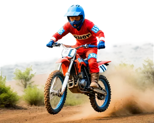 baggett,motocross,dirtbike,dirt bike,motorcross,dungey,motocross riding,tixier,barcia,emig,emx,crf,desalle,motocross schopfheim,hangtown,fmx,tomac,enduro,freestone,pastrana,Unique,Pixel,Pixel 04