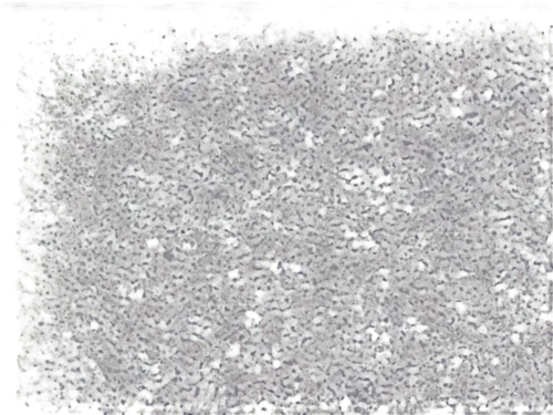 seamless texture,microstrip,microarrays,semiconhtr,stereogram,monolayer,carpet,shagreen,tesserae,polysilicon,isolated product image,degenerative,microsimulation,petromatrix,gravel,stereograms,rug,granite slab,binary matrix,nanomaterial,Conceptual Art,Sci-Fi,Sci-Fi 21