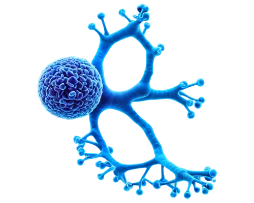 osteoclast,osteoclasts,blastocyst,cryptosporidiosis,oligodendrocyte,astrocytes,rotaviruses,neuroblasts,osteocytes,cell structure,liposomal,macrophages,lipoproteins,neurospora,oligodendrocytes,mitotic,autoantibodies,immunogenicity,aspergillus,extracellularly,Illustration,Abstract Fantasy,Abstract Fantasy 21