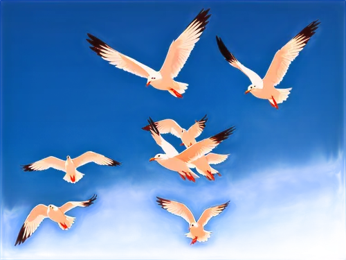 birds flying,birds in flight,flying sea gulls,flying birds,gulls,cygnes,bird flight,oiseaux,storks,gaviotas,group of birds,sea gulls,herring gulls,doves of peace,seagulls,seagulls flock,pigeon flight,seagulls birds,white storks,migratory birds,Art,Artistic Painting,Artistic Painting 43